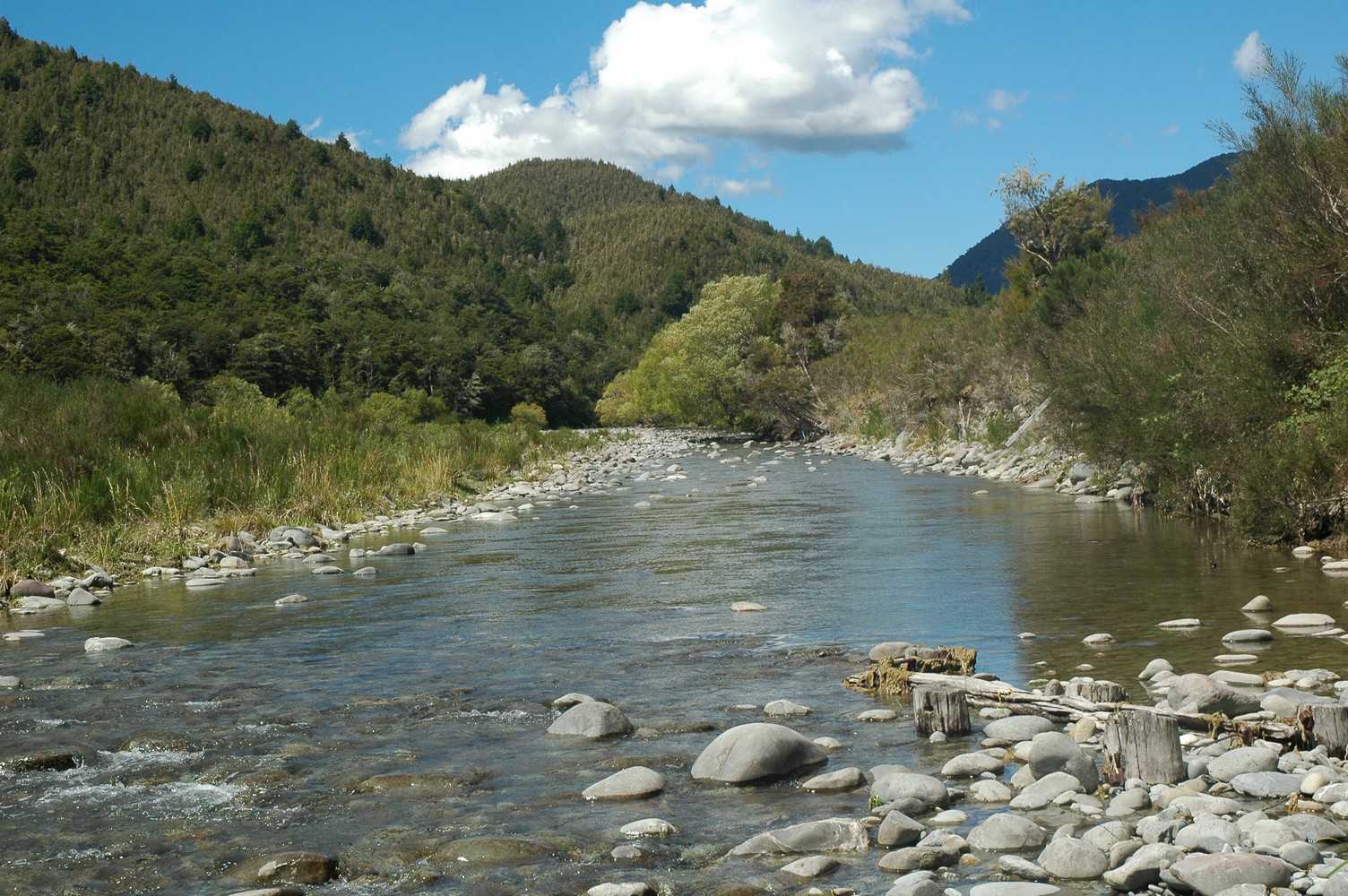 024   23 01   Nelson   Greymouth